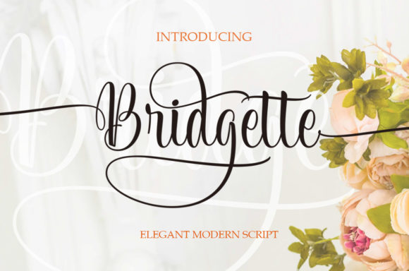 Bridgette Font Review: Elevating Campaign Visuals with Script Amp