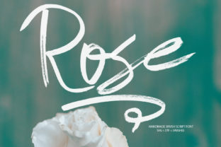 Rose: A Delicate Script Typeface for Editorial Design