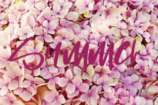 Summer Font: A Sunny Script for Modern Web Design